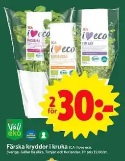 ICA Supermarket Färska kryddor i kruka erbjuda