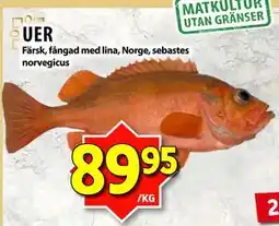 Matvärlden Tensta UER, SEK 89.95 erbjuda