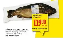 Willys FÄRSK REGNBÅGSLAX, Medlemspris erbjuda