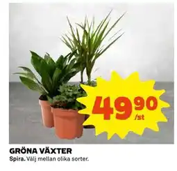 Coop Daglivs GRÖNA VÄXTER, SEK 49.9 erbjuda