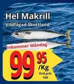 Supergrossen Hel Makrill, SEK 99.95 erbjuda