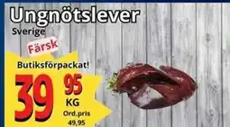 Supergrossen Ungnötslever, SEK 39.95 erbjuda