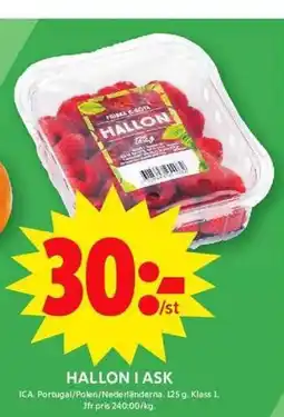 ICA Maxi HALLON I ASK erbjuda