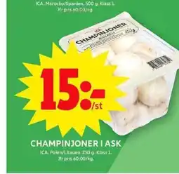 ICA Maxi CHAMPINJONER I ASK erbjuda
