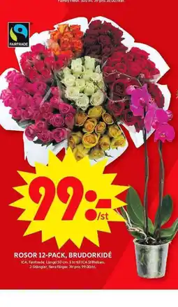 ICA Maxi ROSOR 12-PACK, BRUDORKIDÉ erbjuda