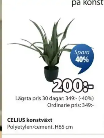 JYSK CELIUS konstväxt erbjuda