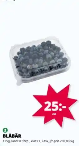 Tempo BLÅBÄR erbjuda