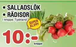 Nya Pulsen SALLADSLÖK • RÄDISOR erbjuda
