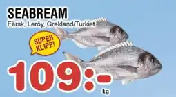 Nya Pulsen SEABREAM erbjuda