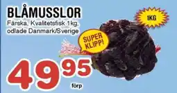 Nya Pulsen BLÅMUSSLOR erbjuda