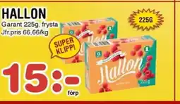 Nya Pulsen HALLON erbjuda