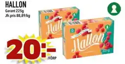 Din Mat HALLON Garant erbjuda
