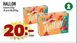 Nelins Garant Hallon erbjuda