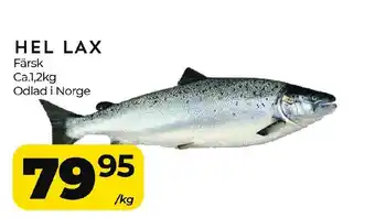 Matrix Butikerna Hel lax erbjuda