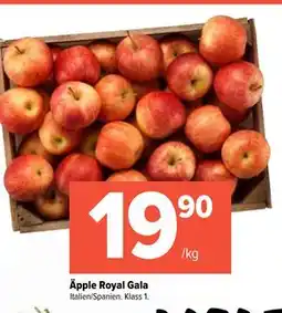 Coop Extra Äpple Royal Gala, SEK 19.9 erbjuda