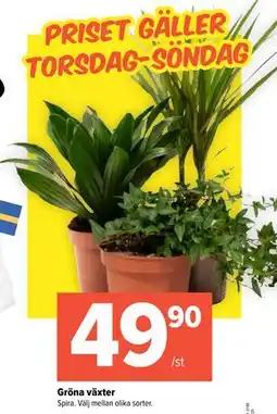 Coop Extra Gröna växter, SEK 49.9 erbjuda