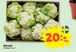 Stora Coop Blomkål, SEK 20 erbjuda