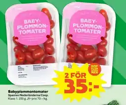 Coop Babyplommontomater. erbjuda