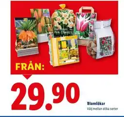 Lidl Blomlökar erbjuda