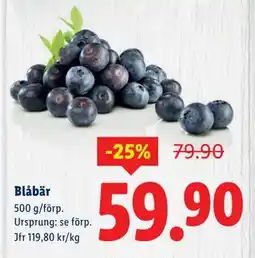 Lidl Blåbär, SEK 59.9 erbjuda