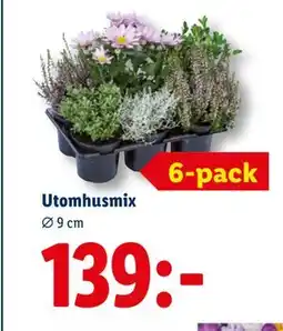 Lidl Utomhusmix, SEK 139 erbjuda