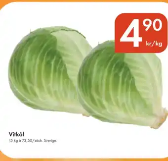 Snabbgross Vitkål erbjuda