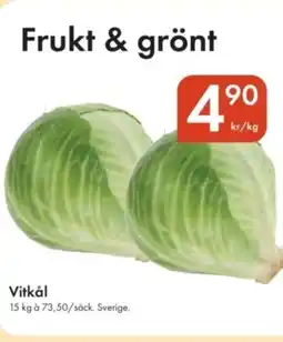 Snabbgross Vitkål erbjuda