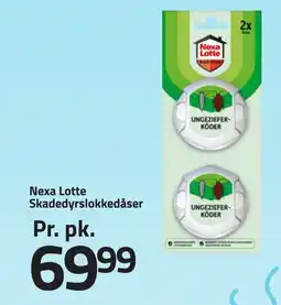 Fleggaard NEXA LOTTE Skadedyrslokkedåser erbjuda