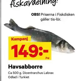 City Gross Havsabborre, SEK 149 erbjuda