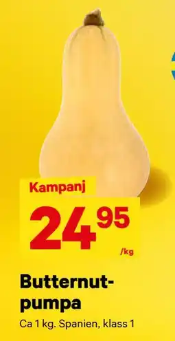 City Gross Butternutpumpa, SEK 24.95 erbjuda