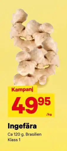 City Gross Ingefära, SEK 49.95 erbjuda