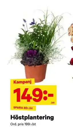 City Gross Höstplantering, SEK 149 erbjuda
