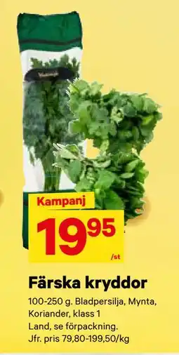 City Gross Färska kryddor, SEK 19.95 erbjuda