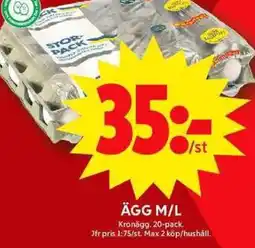 ICA Maxi Ägg m/l erbjuda