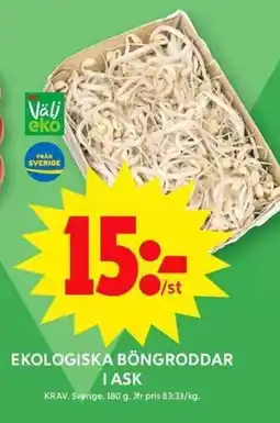 ICA Maxi Ekologiska böngroddar i ask erbjuda
