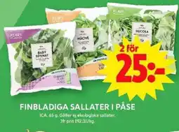 ICA Maxi ICA Finbladiga sallater i påse erbjuda