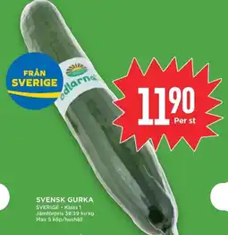 Willys Svensk gurka erbjuda