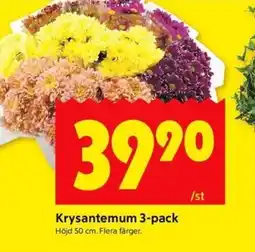 ICA Kvantum Krysantemum 3-pack erbjuda