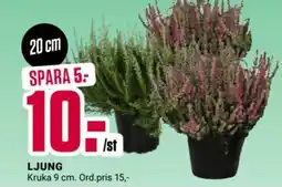 ÖoB Ljung erbjuda