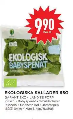 Willys EKOLOGISKA SALLADER 65G erbjuda