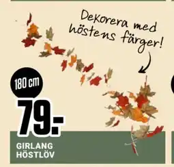 ÖoB Girlang höstlöv erbjuda