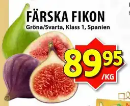 Matvärlden Tensta FÄRSKA FIKON, SEK 89.95 erbjuda