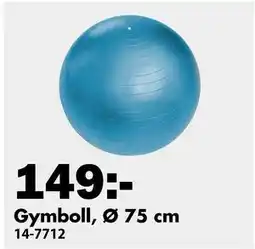 Biltema Gymboll, Ø 75 cm, SEK 149 erbjuda