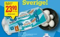 Willys ÄGG 10-PACK, Medlemspris erbjuda