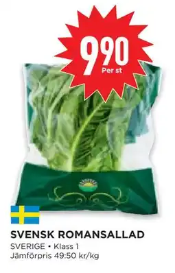 Willys Hemma SVENSK ROMANSALLAD, SEK 9.9 erbjuda