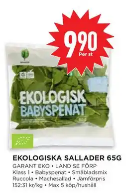 Willys Hemma EKOLOGISKA SALLADER 65G, SEK 9.9 erbjuda