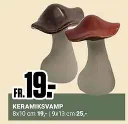ÖoB KERAMIKSVAMP, SEK 19 erbjuda