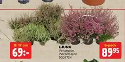Jem&Fix LJUNG erbjuda