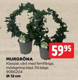 Jem&Fix MURGRÖNA, SEK 59.95 erbjuda