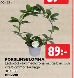 Jem&Fix PORSLINSBLOMMA, SEK 89 erbjuda